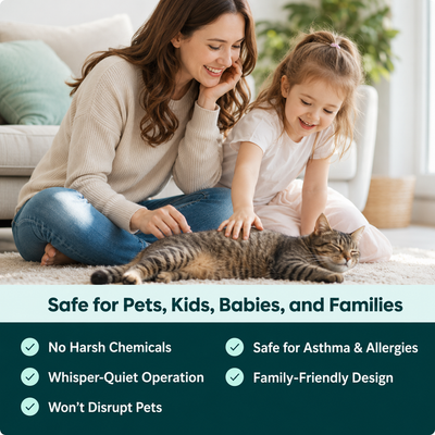 Aervana Mini Home Air Purifer